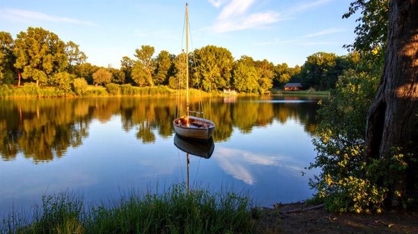 Top 5 raisons d'opter pour un camping sur l'île d'Oléron